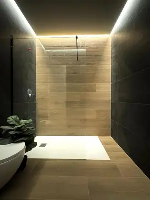 a bathroom with a shower with a toilet and a sink at Suite Palacio Congresos in Valencia