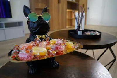 a table with a plate of food with a cat wearing sunglasses at Casa Dolce Casa - Elegant 3BR Apartment Near Metro & Beach,Valencia in Valencia
