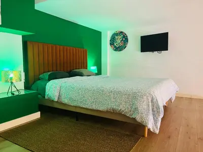 a green bedroom with a bed and a television at Dúplex tipo loft de estilo selvático y safari, con encanto y a pasos del mar in Valencia