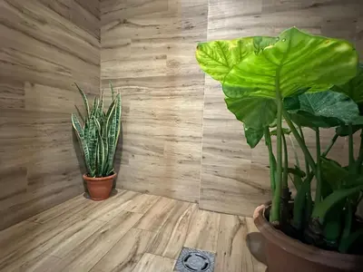 two plants in pots sitting on a wooden floor at La fonda de Olympia in Valencia