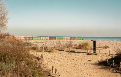 a train on a beach with the ocean in the background at La Luz de Lucia in Moncófar