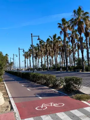 a bike lane on a street with palm trees at Charming fisherman's house Cabanyal Cabañal in Valencia