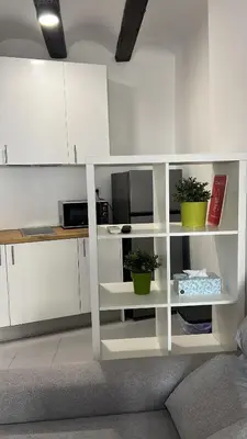 a kitchen with white cabinets and potted plants at Piso 1 - Apartamento Mercado Central in Valencia