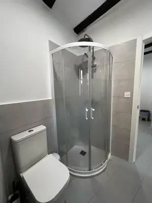 a bathroom with a shower and a white toilet at Piso 1 - Apartamento Mercado Central in Valencia
