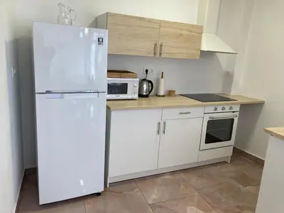 a kitchen with a white refrigerator and a microwave at La Terracita de Carrica in Peñalba