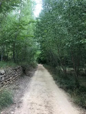 a dirt road with trees and a stone wall at Alojamiento rural con encanto in Alborache