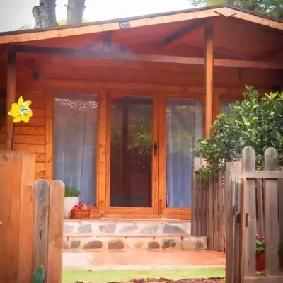 Cabaña madera en bosque 100 ECO