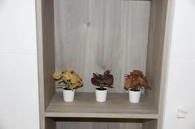 three potted plants on a shelf in a room at Ruzafa Tropical in Valencia