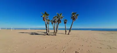 four palm trees on a beach with footprints in the sand at Sunrise Beach Apartment Playa Puerto de Sagunto in Puerto de Sagunto