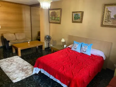 a bedroom with a red bed with two cats pillows at Habitación central en piso compartido en valencia in Valencia