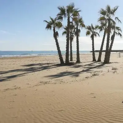 A fantastic apartment on the beach