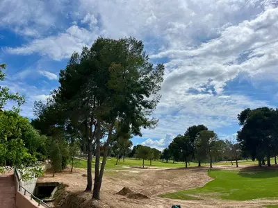 a tree in the middle of a golf course at Casa Hoyo 19 in Masía Aldamar
