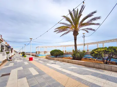 a palm tree on a sidewalk next to the ocean at Apartamento con Terraza junto al Mar en Moncofa in Moncófar