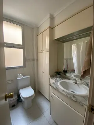 a bathroom with a toilet and a sink at Rincón Valenciano - Campanar in Valencia