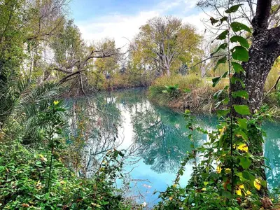 a view of a river with trees and blue water at El sitio de Ana in Burriana