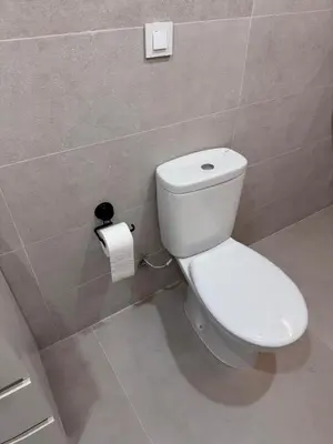a bathroom with a toilet and a roll of toilet paper at Apartamento Boutique Valencia 4-Pax - B-2 in Valencia