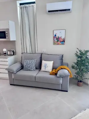 a gray couch in a living room with a plant at Apartamento Boutique Valencia 4-Pax - C-3 in Valencia