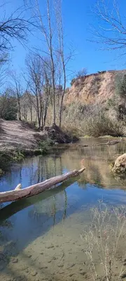 a log laying in the water in a river at San Juan in Alborache