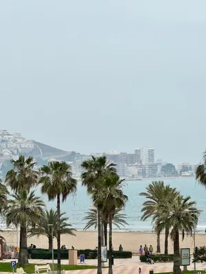 a group of palm trees in front of a beach at Wagner Playa Apartment in Cullera