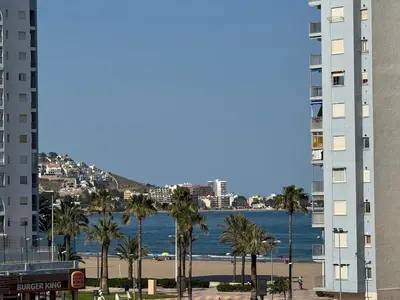a view of a beach with palm trees and buildings at Wagner Playa Apartment in Cullera