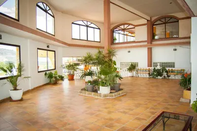 a large room with potted plants and windows at Complejo Turistico la Pinada in Gilet