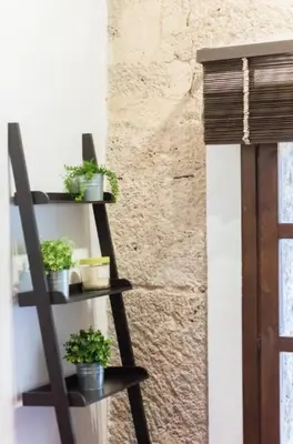 a shelf with potted plants on it next to a wall at Cozy apartment in the old town - San Ramon in Valencia
