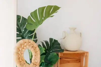 a plant sitting on a wooden table next to a vase at Tiny Valencia Gem - 2BR - Relax in Valencia