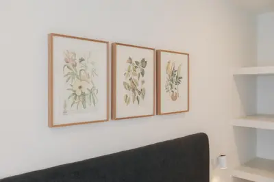 four framed drawings of flowers on a white wall at Doce de Colón C in Requena