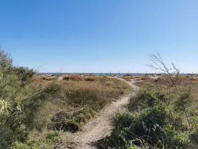 a dirt road in the middle of a field at Global Vacacional, Planta baja con piscina en Almenara in Almenara