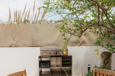 a kitchen with a stove in a garden at Grand Villa with Pool in Sagunto