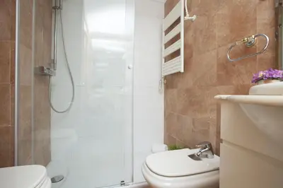 a bathroom with a shower and a toilet and a sink at Apartments Serrería II in Valencia