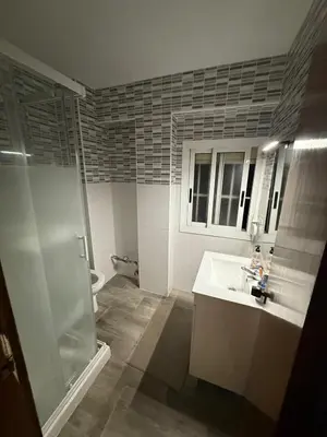 a bathroom with a sink and a shower and a toilet at EL Cid II in Valencia