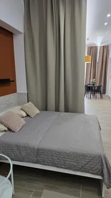 a bedroom with a large bed with a curtain at Apartamentos Vicent Clavel in Valencia