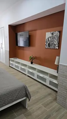 a bedroom with a bed and a tv on a wall at Apartamentos Vicent Clavel in Valencia