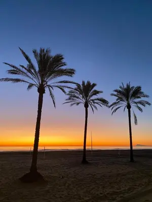 three palm trees on a beach at sunset at Cozy Seaside Apartment in Cullera in Cullera