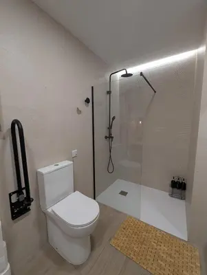 a bathroom with a white toilet and a shower at Bonito loft para 4 personas in Valencia