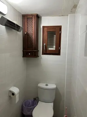 a bathroom with a toilet and a wooden cabinet at Habitaciones Espacio in Corbera de Alcira