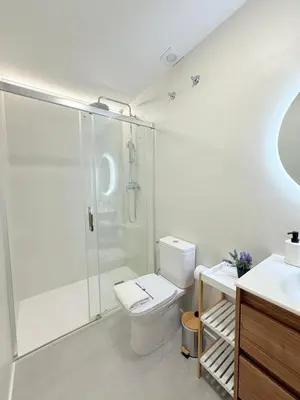 a bathroom with a shower and a toilet and a sink at Travel Habitat Oceanografic Suites in Valencia