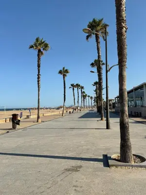 a row of palm trees on a sidewalk near the beach at Patacona beach apartment in Valencia
