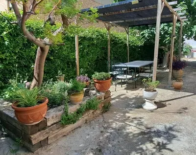 a group of potted plants in a patio with a table at Villa Bobal in Requena