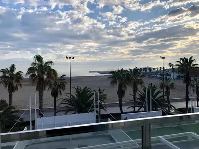 a view of the beach and palm trees from a building at El Coso in Valencia