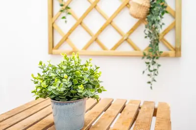 a potted plant sitting on top of a wooden table at Maritim Loft Apartment in Valencia