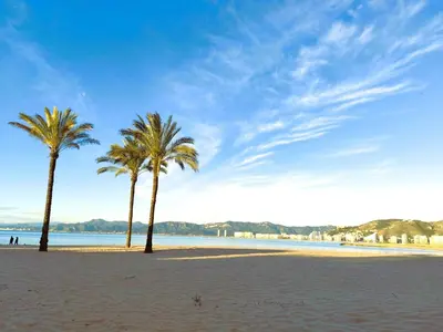 two palm trees on a beach with a blue sky at Isla de los Pensamientos in Faro de Cullera
