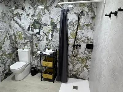 a bathroom with a shower with a toilet and a shower curtain at Apartamento El Rincón de Darío in Valencia