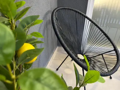 a black chair sitting next to a plant at Basset 3 in Valencia
