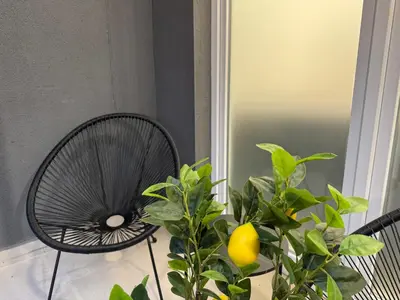 a plant sitting next to a chair next to a mirror at Basset 3 in Valencia