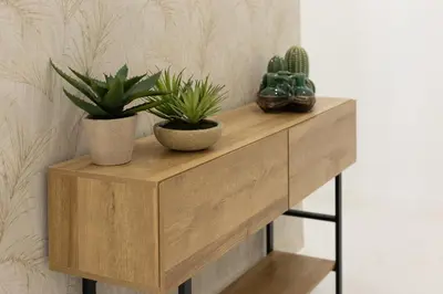 two potted plants sitting on a wooden shelf at Dorm4You Calle Gibraltar 15 Ruzafa Apartments in Valencia