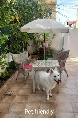 a white dog standing next to a table with an umbrella at Casa La Mar in Mareny Blau