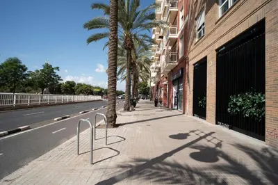 a sidewalk with palm trees on the side of a street at Crudo un Loft centrico de 50 m2 in Valencia