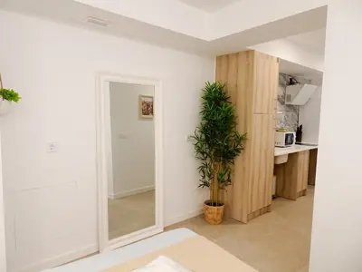 a living room with a mirror and a potted plant at JB22 - Loft Valencia in Valencia